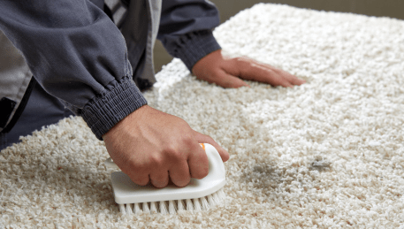 Professional Rug Cleaning Bakery Hill